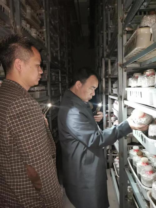 科技賦能產業，精準服務助振興——食用菌所科技服務團隊赴漳州開展秀珍菇工廠化栽培技術指導與開發